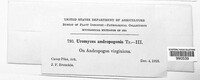 Image Associated With the Occurence